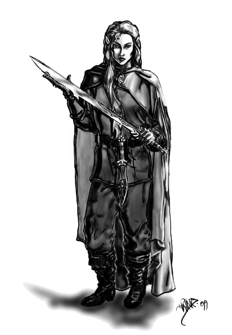 A High Elven Rogue